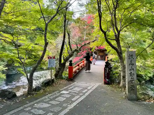 西明寺(京都府)