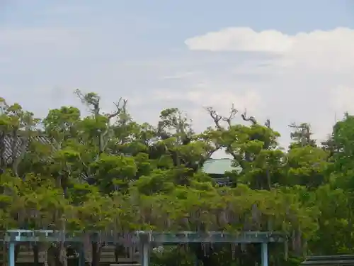 鶴岡八幡宮の庭園