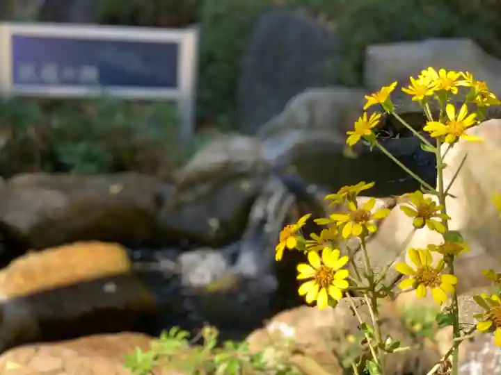 師岡熊野神社の自然