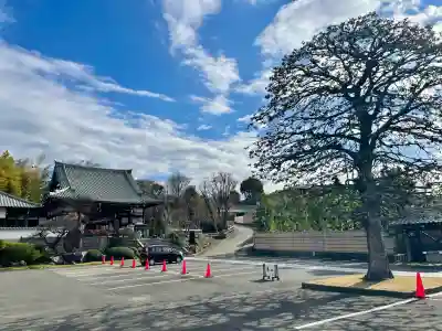 妙蓮寺の{uncategorized: "未分類", other: "その他", undefined: "問題あり", building: "その他建物", grave: "お墓", sacred_gate: "鳥居", guardian: "狛犬", statue: "像", buddha: "仏像", history: "歴史", nature: "自然", garden: "庭園", animal: "動物", pagoda: "塔", temizu: "手水舎", mountain_gate: "山門・神門", sanctuary: "本殿・本堂", subordinate: "末社・摂社", art: "芸術", scenery: "景色", jizo: "地蔵", ema: "絵馬", goshuin: "御朱印", omikuji: "おみくじ", items: "授与品その他", amulet: "お守り", goshuincho: "御朱印帳", eats: "食事", festival: "お祭り", votive_dance: "神楽", shichigosan: "七五三参", wedding: "結婚式", experience: "体験その他", initially: "初詣", around: "周辺", anti_infection: "感染症対策"}