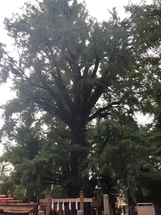 鬼子母神堂 (法明寺)の自然