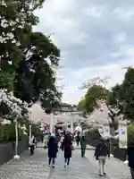 富士山本宮浅間大社(静岡県)