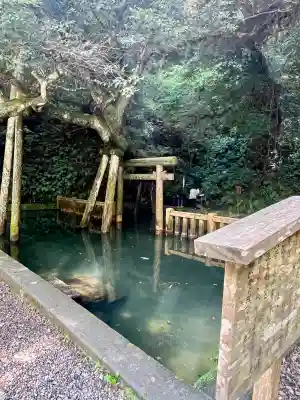 鹿島神宮(茨城県)