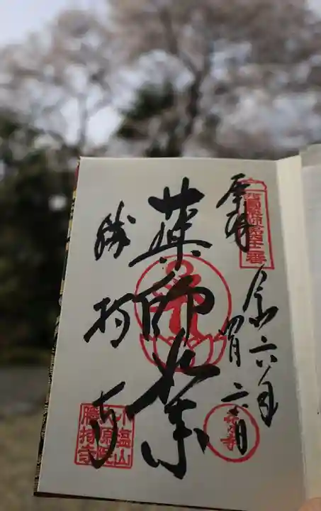 勝持寺(花の寺)の御朱印