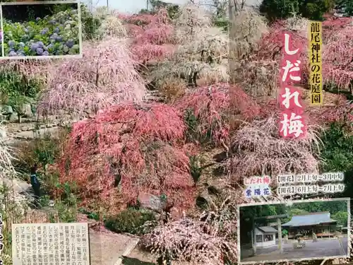 龍尾神社の授与品その他