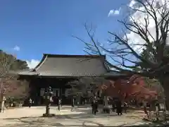 真正極楽寺（真如堂）の本殿