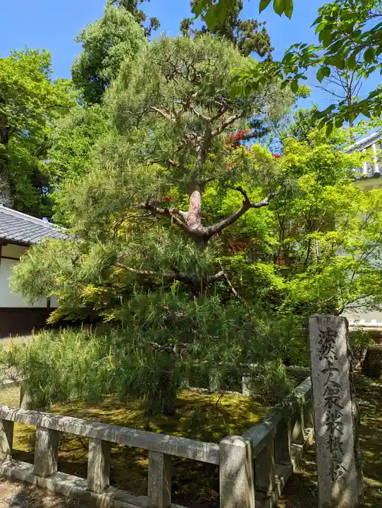 光明寺(粟生光明寺)(京都府)
