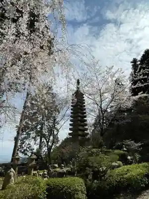 善峯寺(京都府)