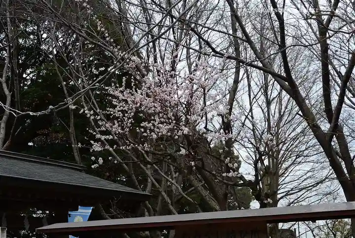 宇都母知神社(神奈川県)