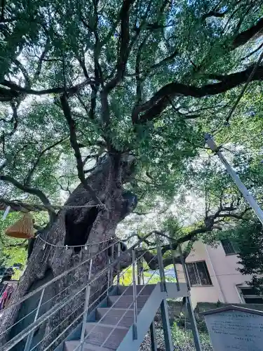山王神社(長崎県)