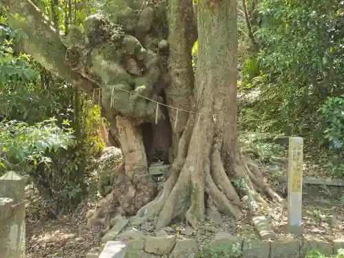 高良神社(京都府)