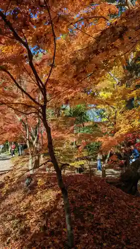 長岡天満宮(京都府)
