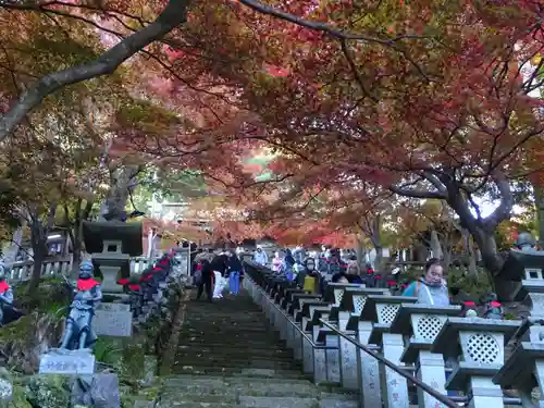 大山寺の自然