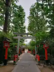 馬橋稲荷神社の鳥居