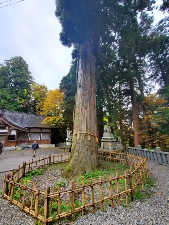 戸隠神社中社(長野県)