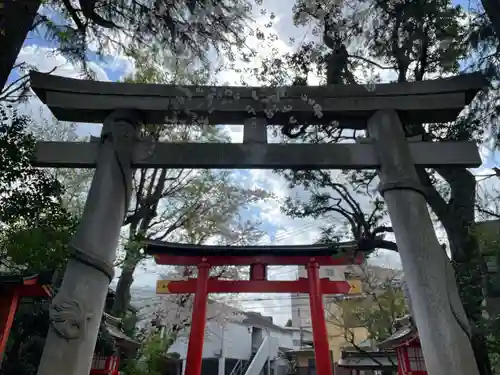 馬橋稲荷神社の鳥居