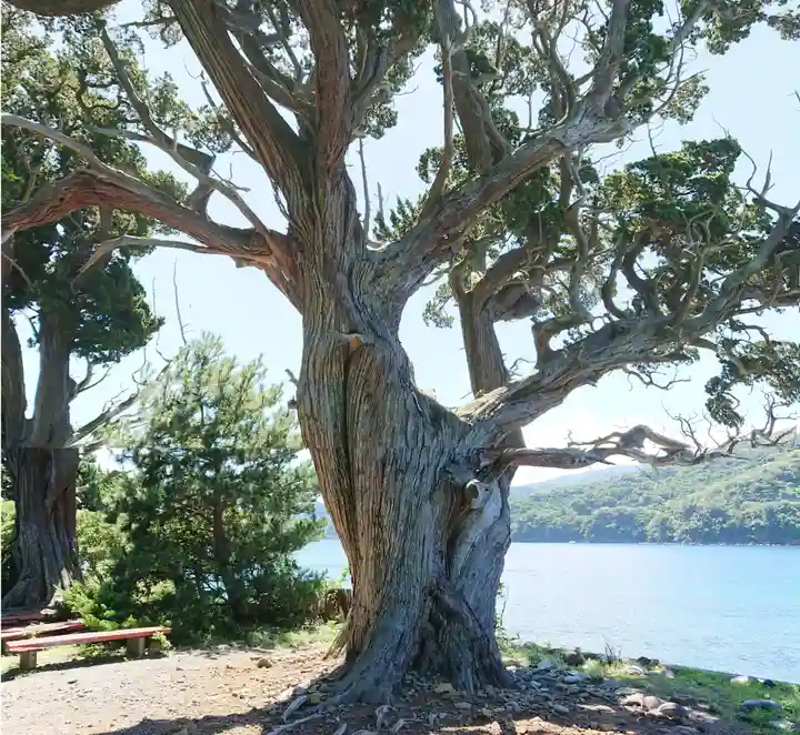 大瀬神社の自然