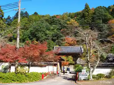 金剛院(京都府)