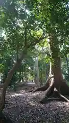 七所神社の自然