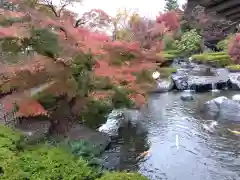 妙法寺(福井県)