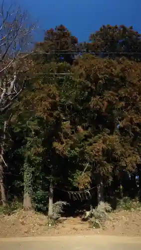 祠（名称不明）の自然