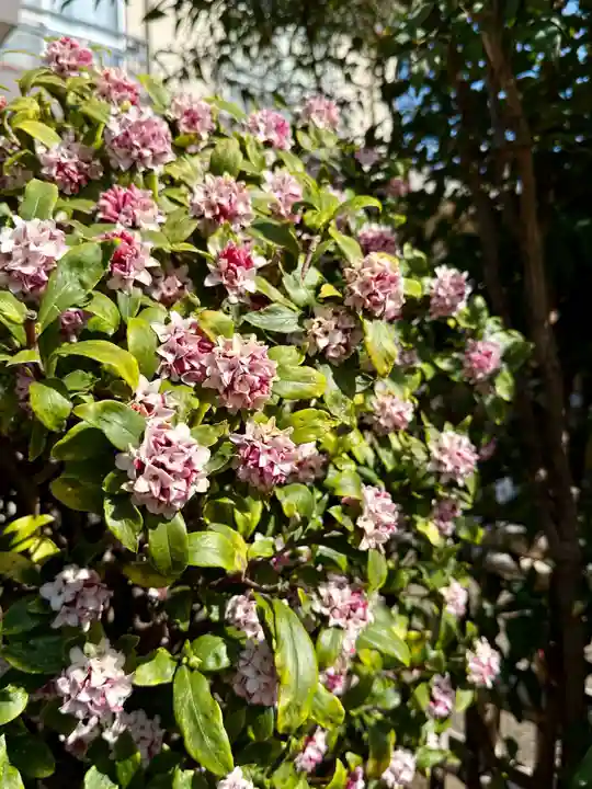 福王山 慈眼寺(東京都)