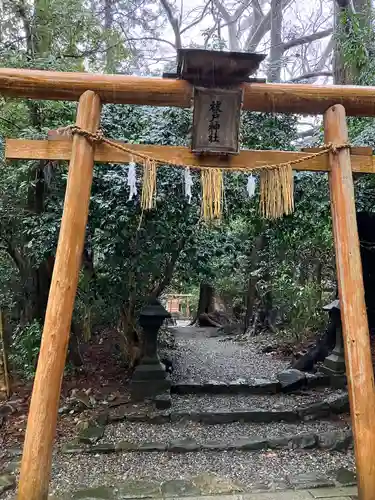 彌彦神社(新潟県)