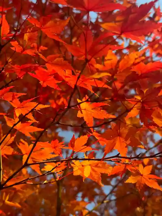 伊勢の国 四天王寺(三重県)