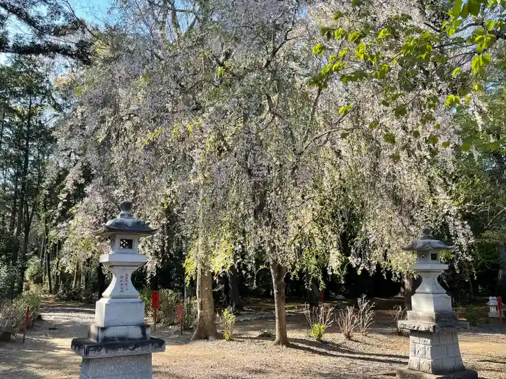 結城諏訪神社のその他建物