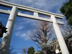 新宿下落合氷川神社の鳥居