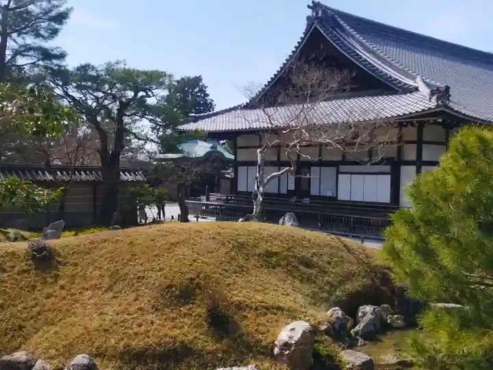 高台寺(高台寿聖禅寺・高臺寺)(京都府)