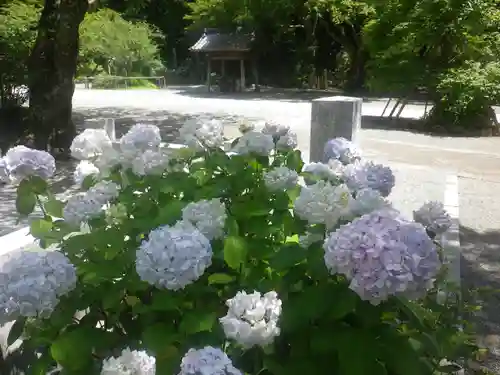 妙本寺の庭園