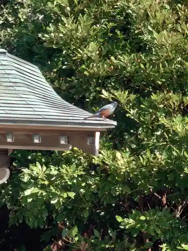 聖天神社（聖天上人像社）(神奈川県)