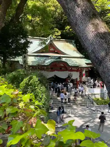 來宮神社の本殿