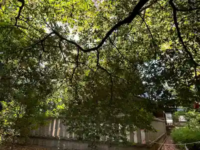 布多天神社の塔