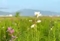 伊勢の国 四天王寺(三重県)