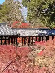 東福禅寺（東福寺）の建物その他