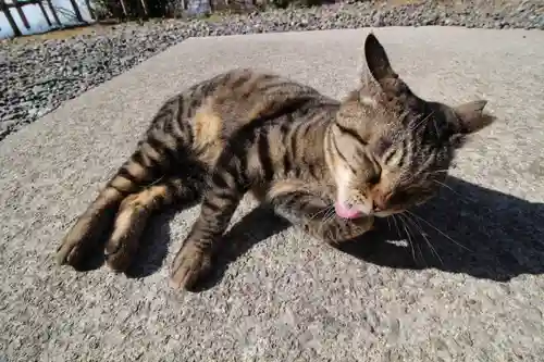 唐澤山神社(栃木県)