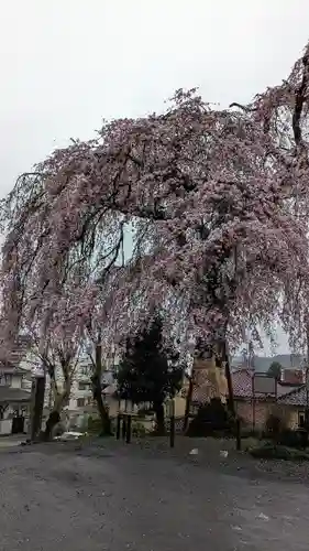 梅岩寺(東京都)