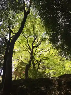 唐澤山神社の周辺