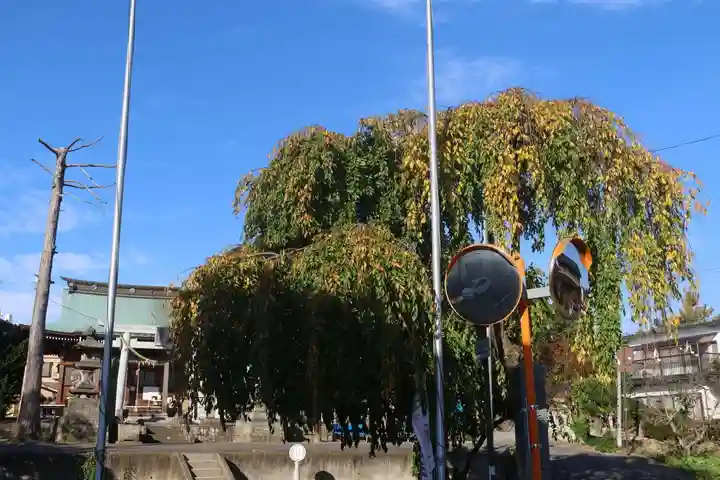 熊野福藏神社の自然