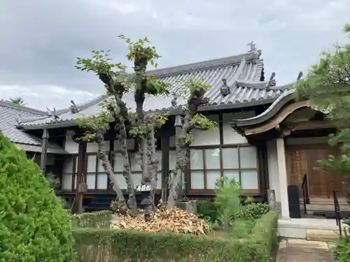 圓通寺の本殿・本堂