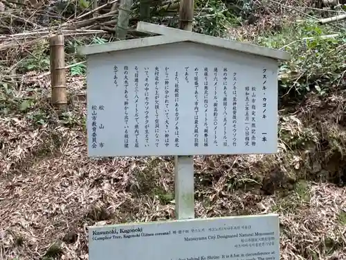 荒神社の歴史