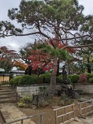 護国寺(東京都)