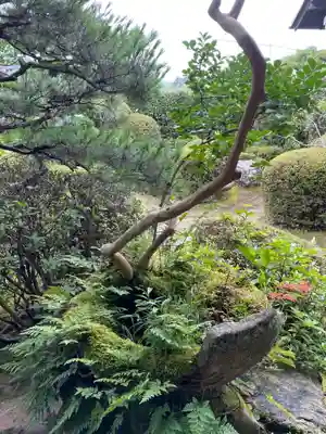 穴太寺(京都府)
