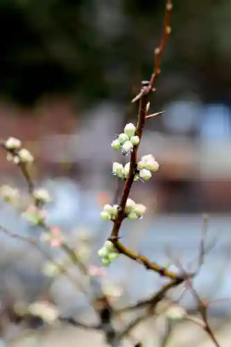 浄土寺(兵庫県)