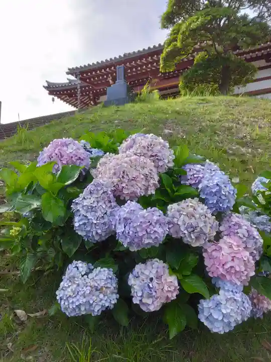 妙福寺(神奈川県)
