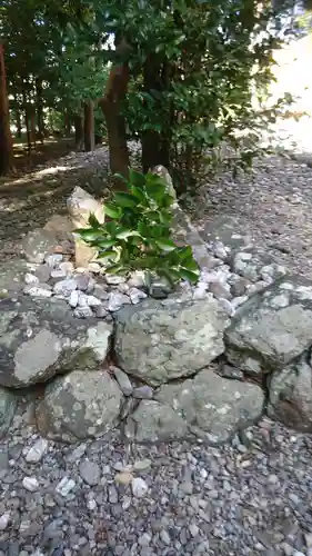 上田神社の建物その他