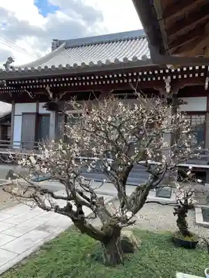 梅香寺(三重県)