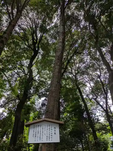明治神宮(東京都)